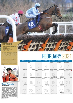 Irish Racing Calendar